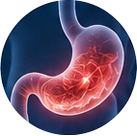 Digestive issues icon