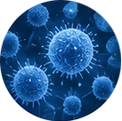 Weakened immune system icon