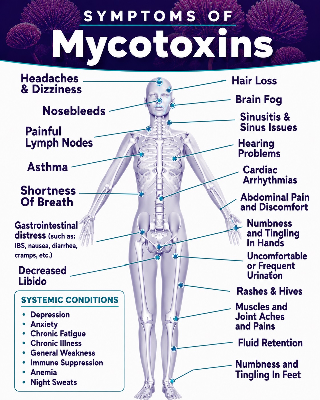 Infographic showing symptoms of mycotoxin exposure including brain fog, fatigue, joint pain, respiratory issues and more
